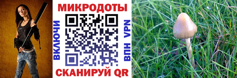 Псилоцибиновые грибы Cubensis  blacksprut зеркало  мориарти состав  купить наркоту  Бобров 